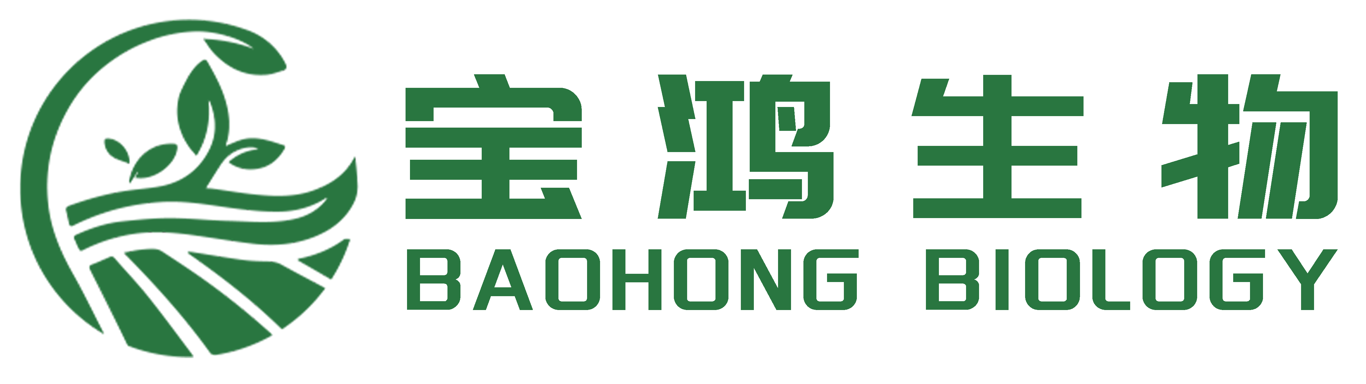 企業通用模版網站